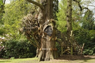 Hilary Jack Empty Nest photo: Thierry Bal